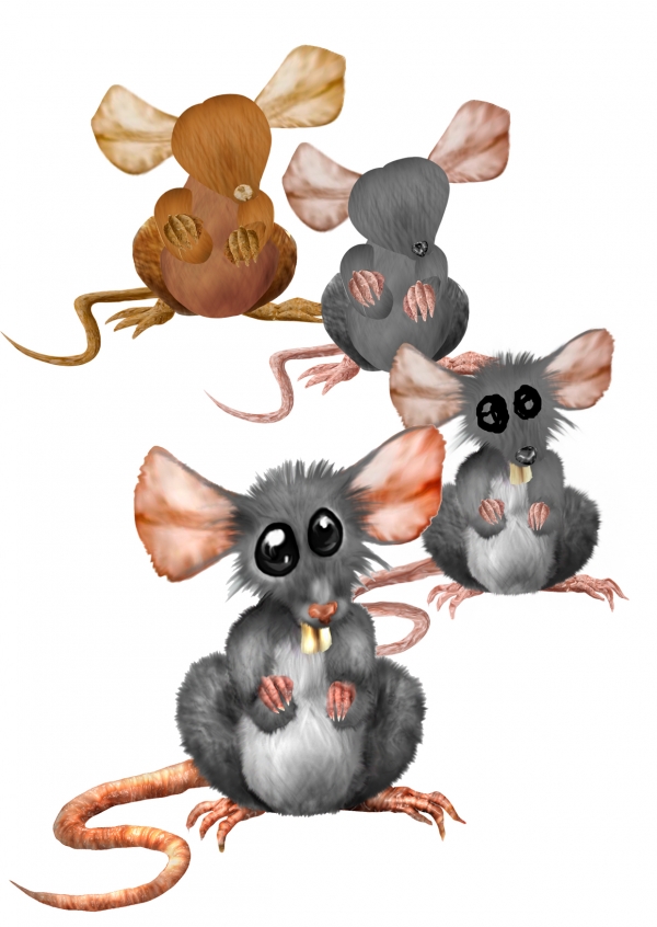 Creation of mouse: Step 3